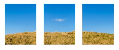 Beach Grass with blue sky Tryptic image Ocean Shores WA wispy cloud