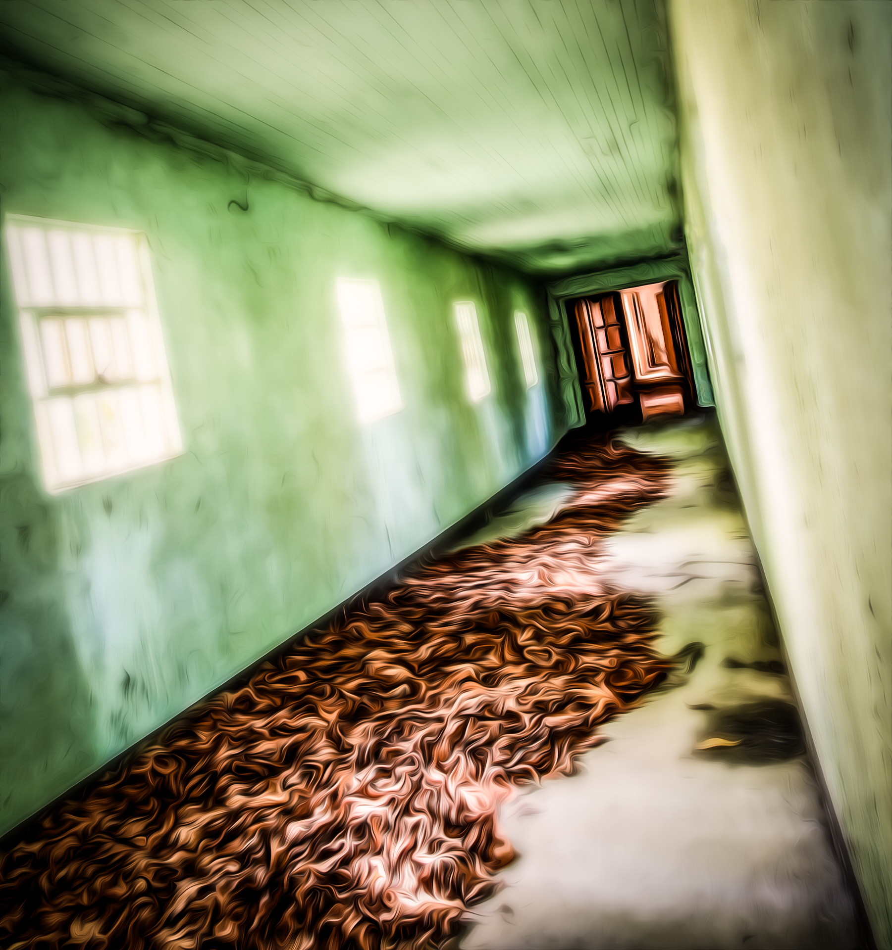 Erie dreamy tilted photo down a hallway at insane asylum Sedro Woolley