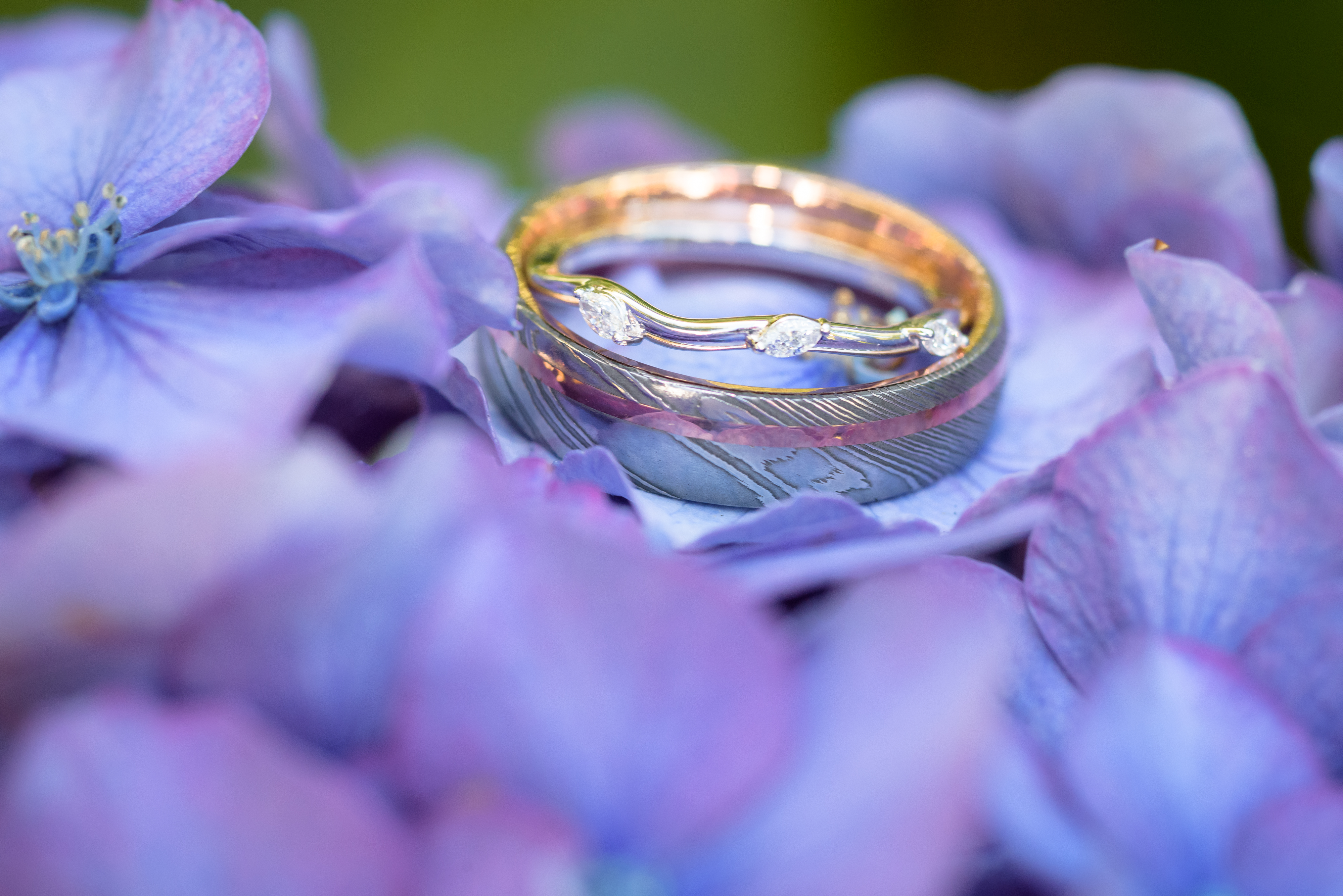 Wedding band and ring bride and groom on purple flower close up