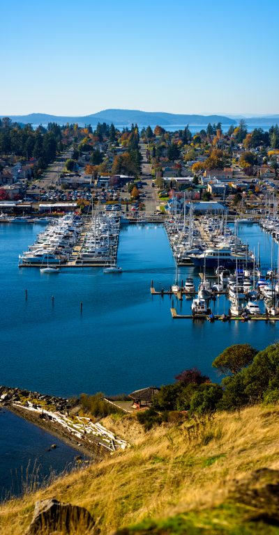 Landscape vertical panorama of Anacortes WA marina skagit valley